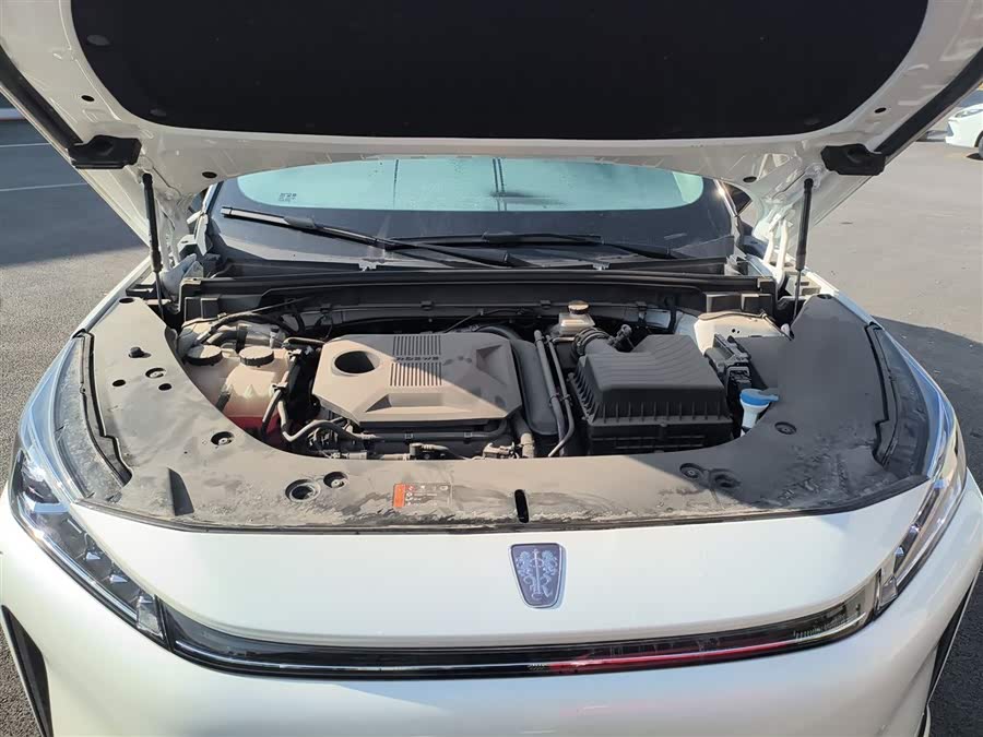 Roewe D5X DMH 2024 imagem de carro #21