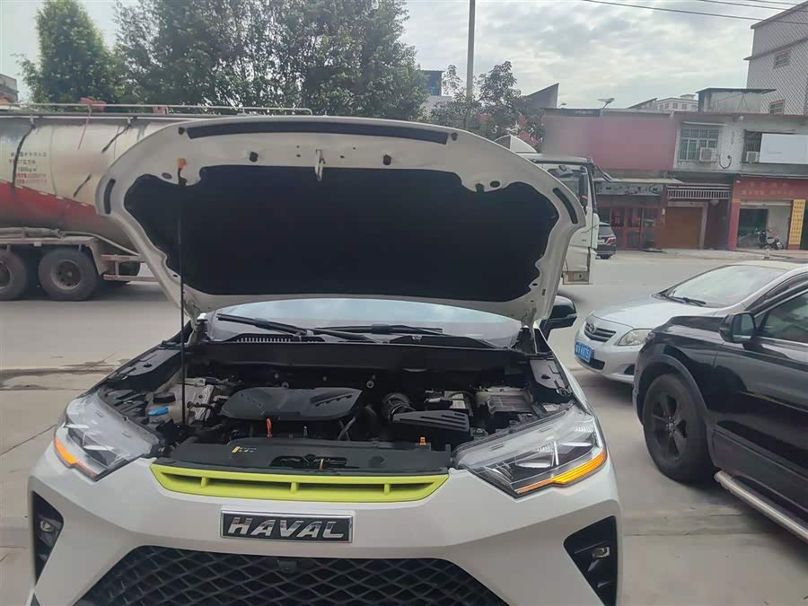 Haval H6S 2022 car image #21