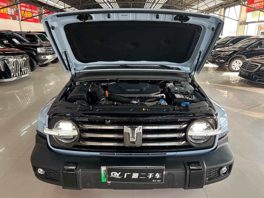 Tank 300 New Energy 2024 car image #21