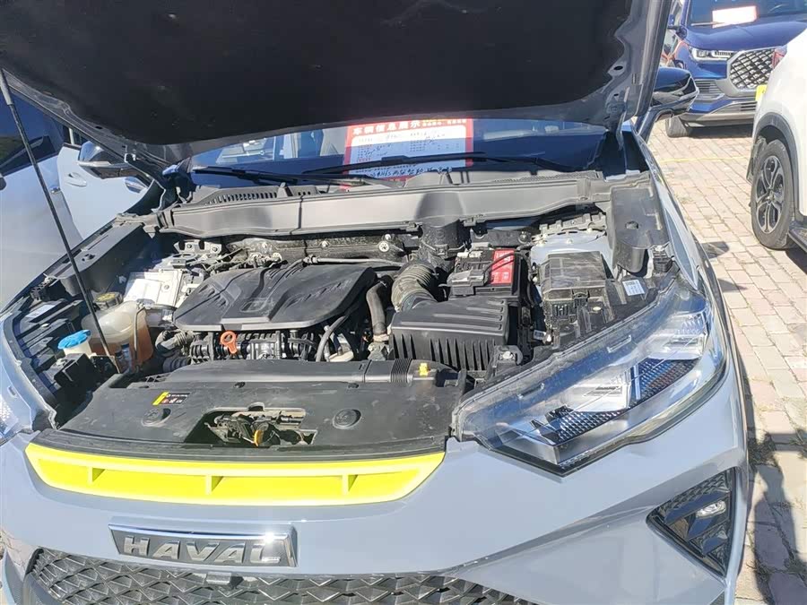 Haval H6S 2022 immagine di auto #21