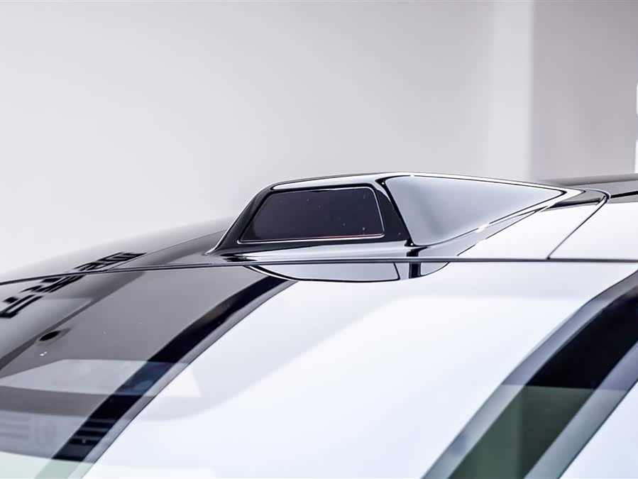 Denza N9 2025 imagen de coche #21