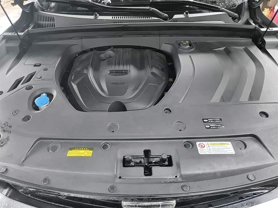 GEELY Tugella New Energy 2019 car image #21