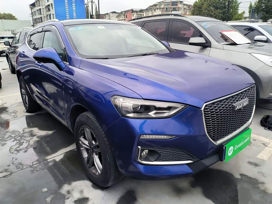 Haval F5 2019 #21 Haval F5 2019 car image #21