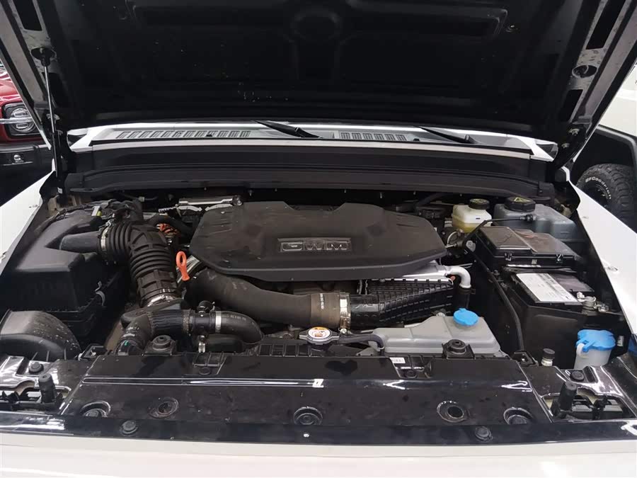 Tank 300 New Energy 2025 imagem de carro #21