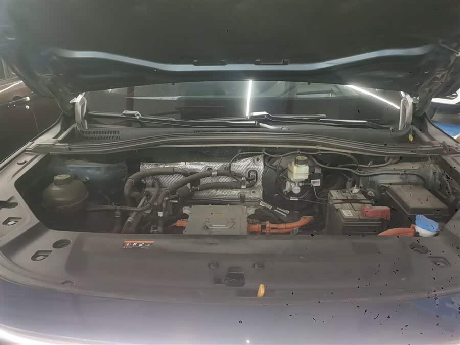 睿蓝汽车 睿蓝9 2024 汽车图片 #21