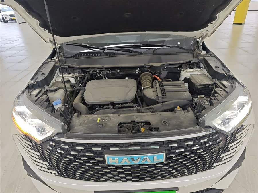 Haval H6 2022 immagine di auto #21