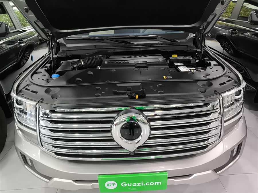 Great Wall Shanhai Pao 2023 car image #21