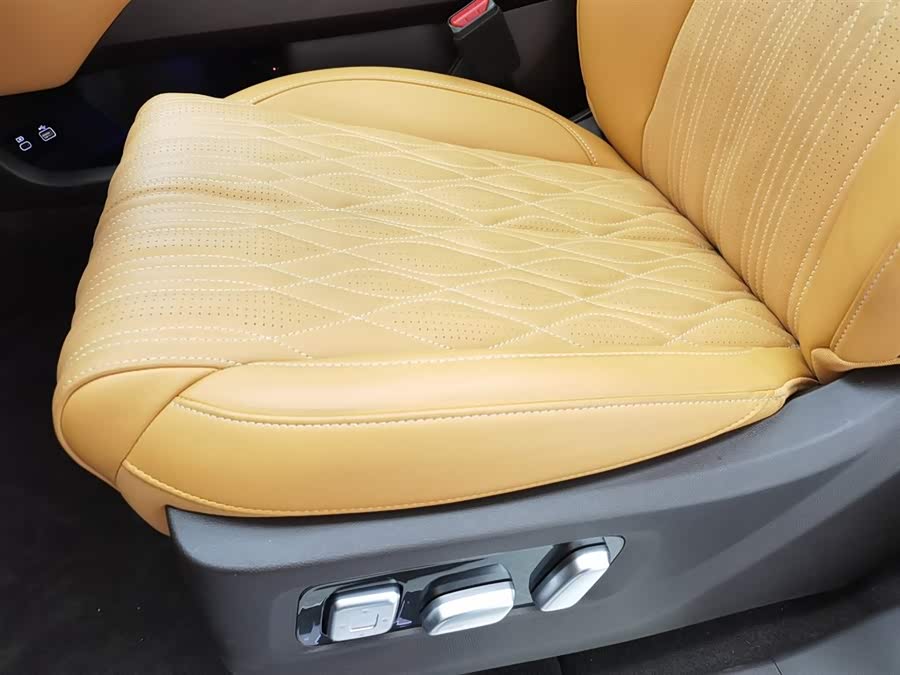 Tank 500 New Energy 2025 immagine di auto #21