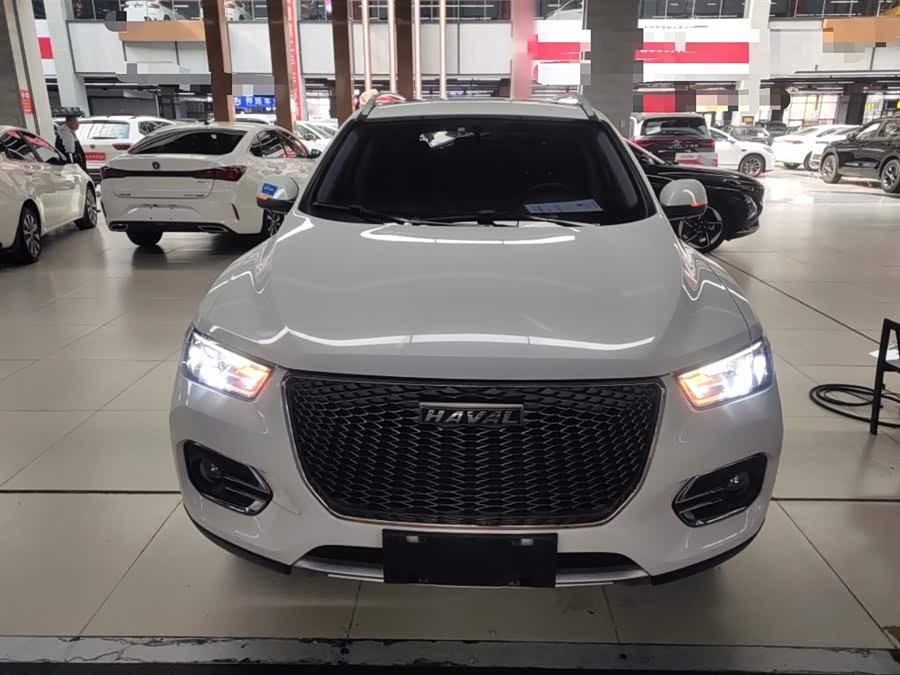Haval H2s 2019 car image #21