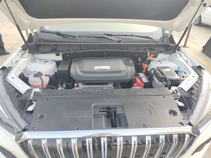 HongQi E-HS3 2020 car image #21