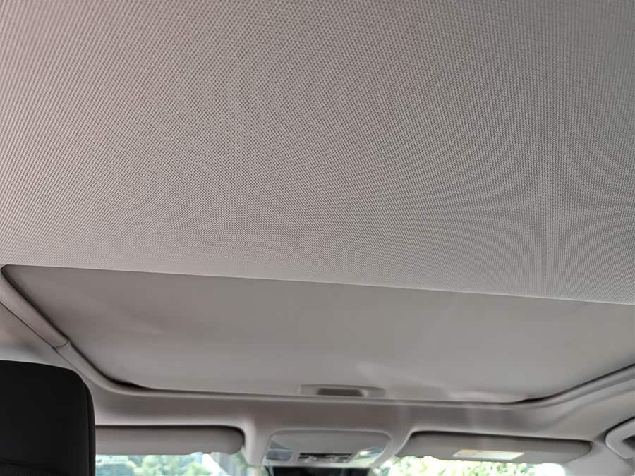 Toyota Wildlander New Energy 2021 immagine di auto #21