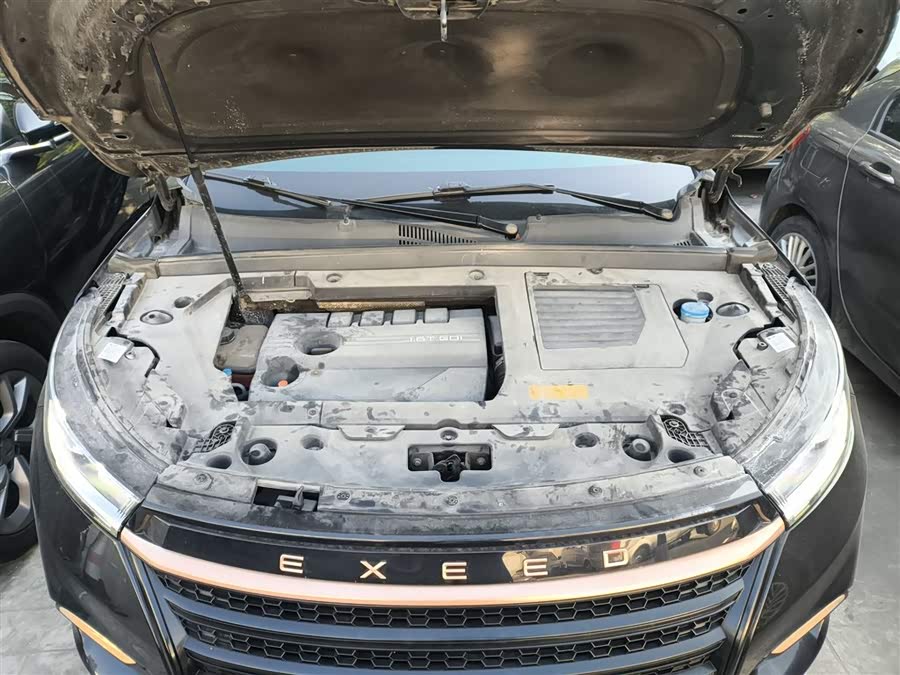 Exceed TX 2022 #21 Exceed TX 2022 car image #21