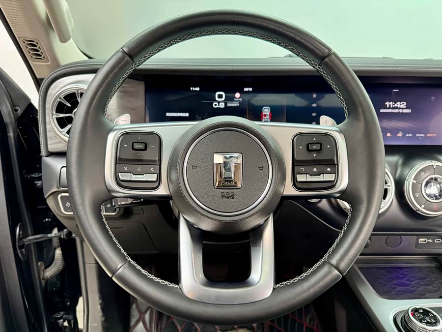 Tank 500 New Energy 2024 immagine di auto #21