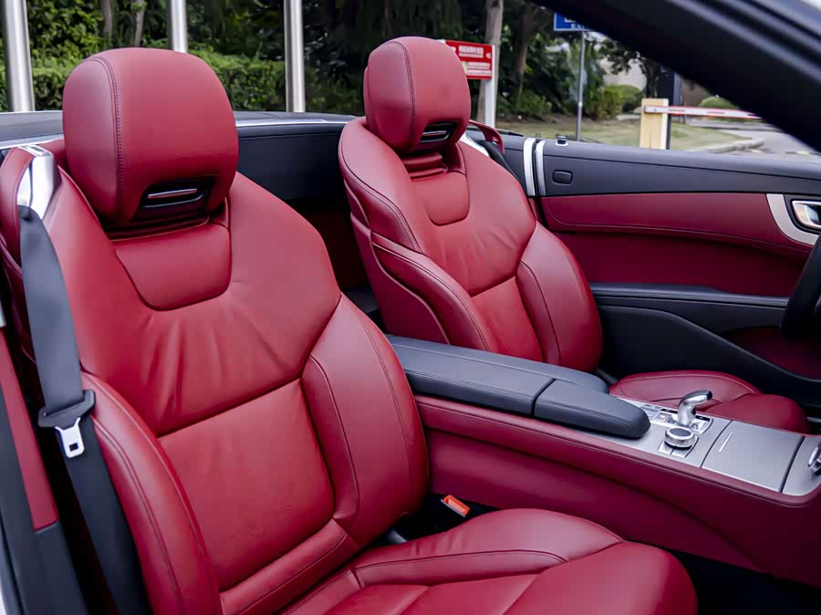 Mercedes-Benz SL Class 2017 car image #21