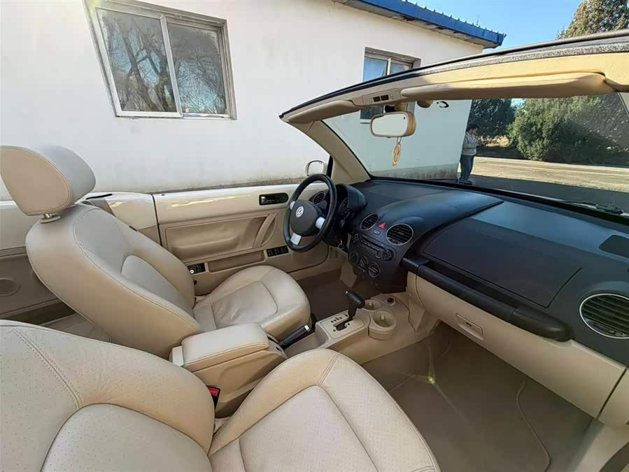 Volkswagen Beetle 2010 immagine di auto #21