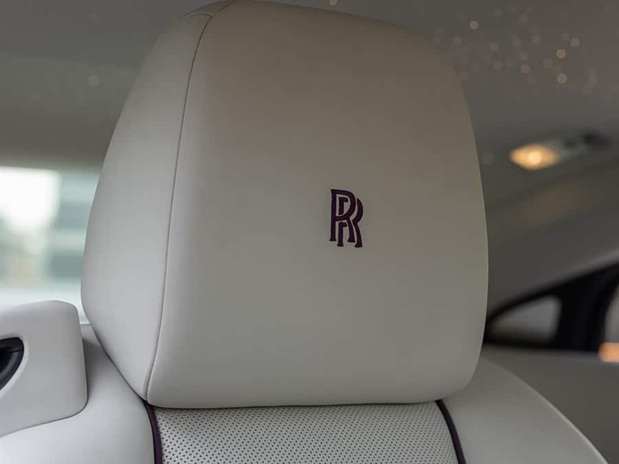 Denza Wraith 2018 immagine di auto #21