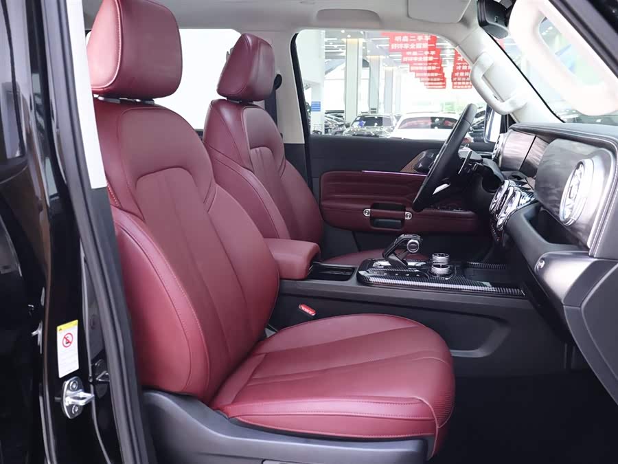 Tank 300 2024 car image #21