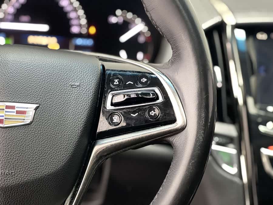2019 #21 2019 car image #21