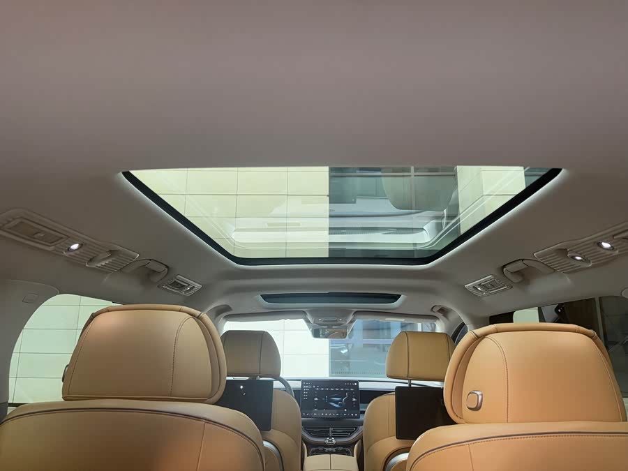 Denza D9 2023 car image #21