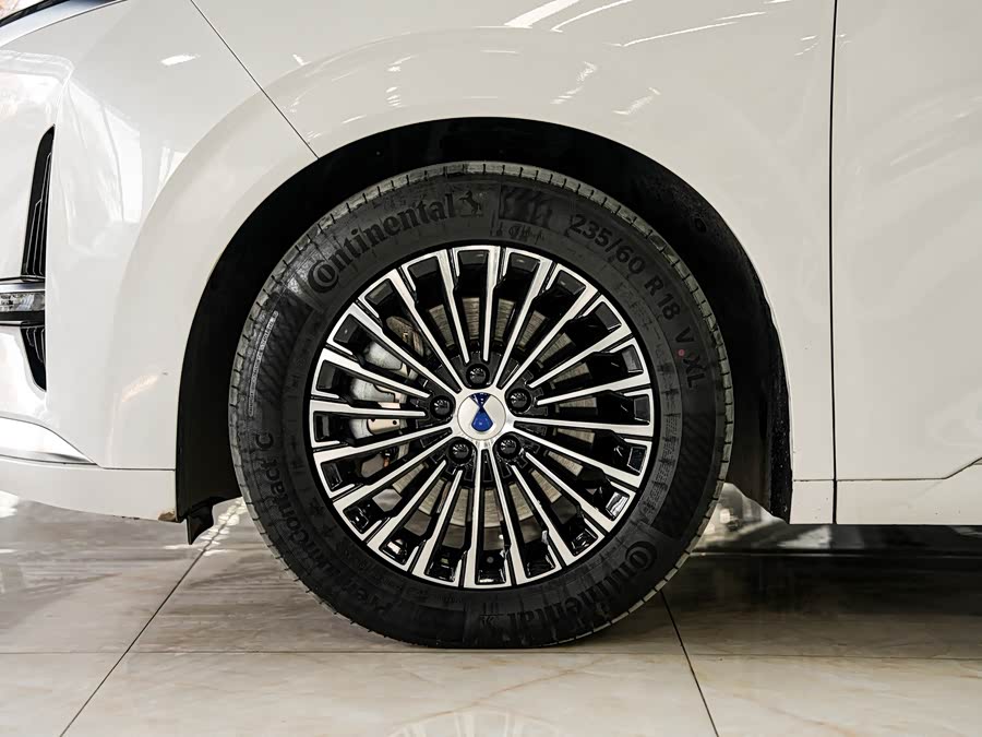 腾势 腾势D9 2024 汽车图片 #21