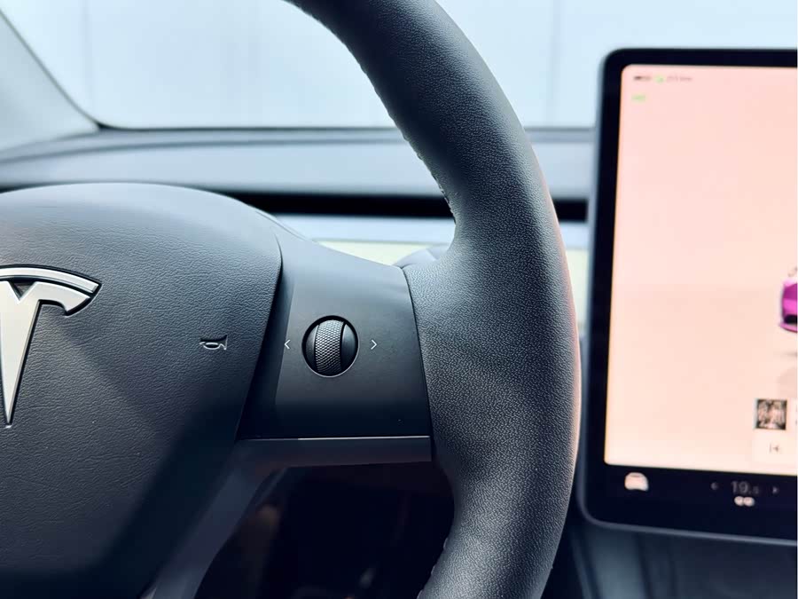 Tesla Model Y 2023 car image #21