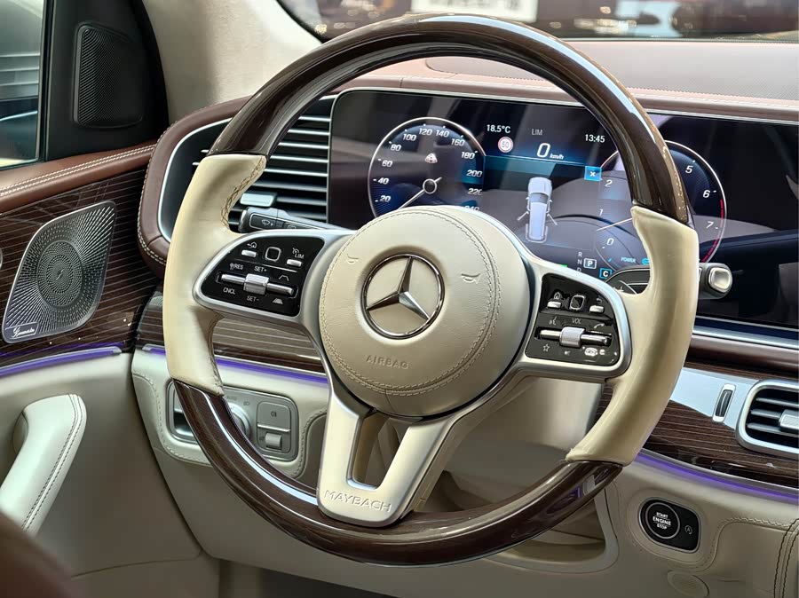 Mercedes-Benz Maybach GLS 2022 car image #21