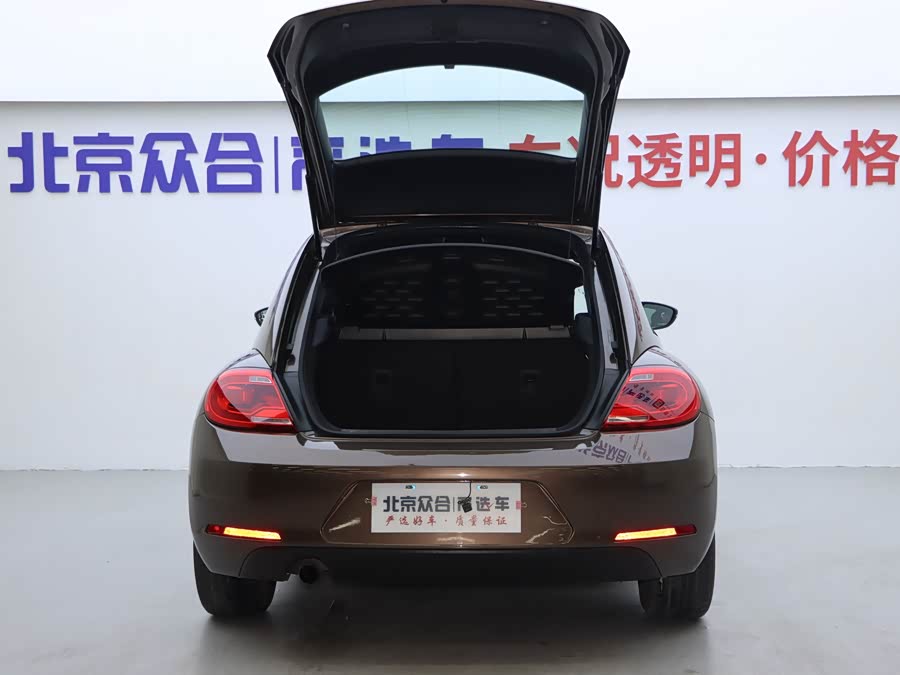 Volkswagen Beetle 2015 immagine di auto #21