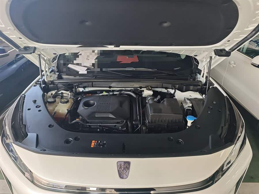 Roewe D5X DMH 2024 car image #21