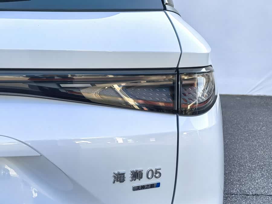 BYD Sea Lion 05 DM-i 2025 car image #21