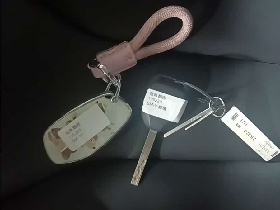 Haval Dargo 2022 car image #21