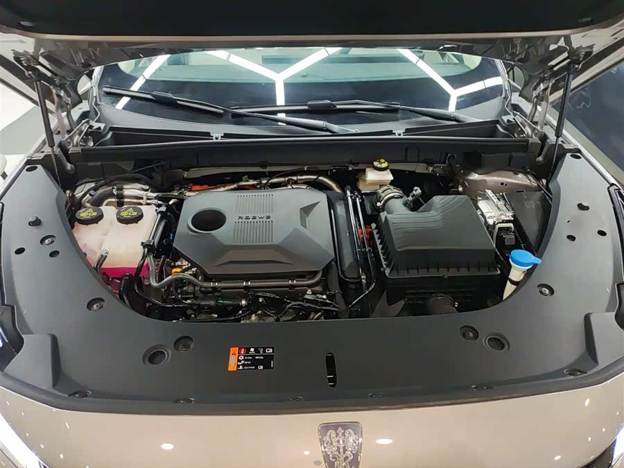 Roewe D5X DMH 2025 car image #21