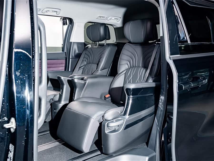 GAC Trumpchi E9 2024 car image #21