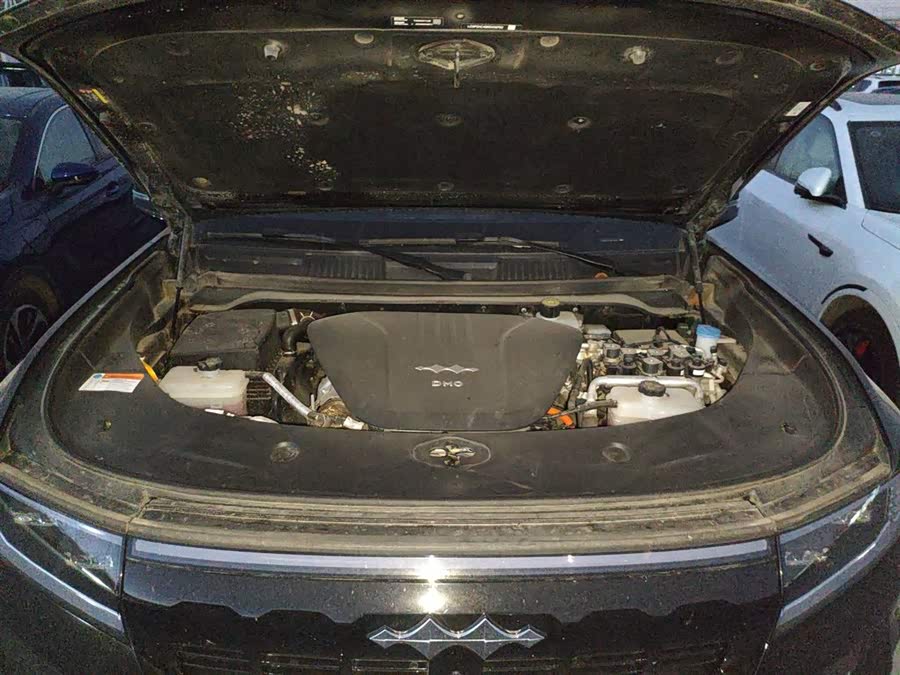 FangChengBao Leopard 8 2024 #21 FangChengBao Leopard 8 2024 immagine di auto #21