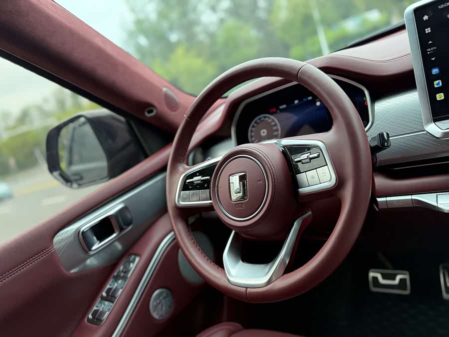 Tank 700 New Energy 2024 car image #21