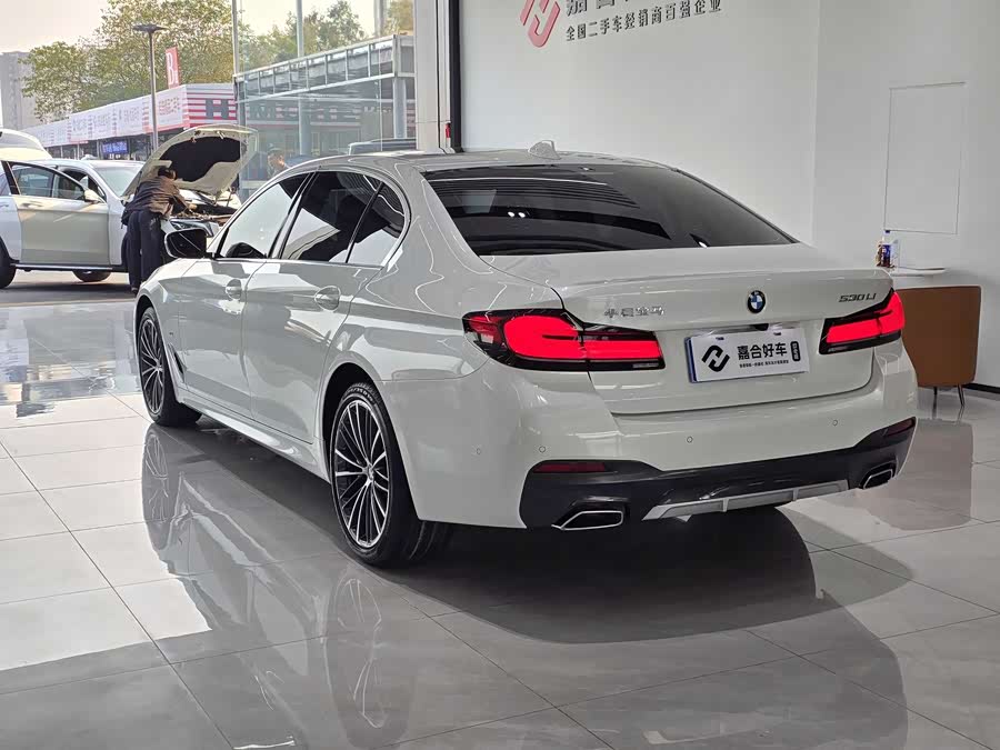 BMW 5 Series 2021 car image #21