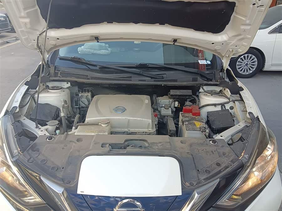 日产 轩逸·纯电 2019 汽车图片 #21