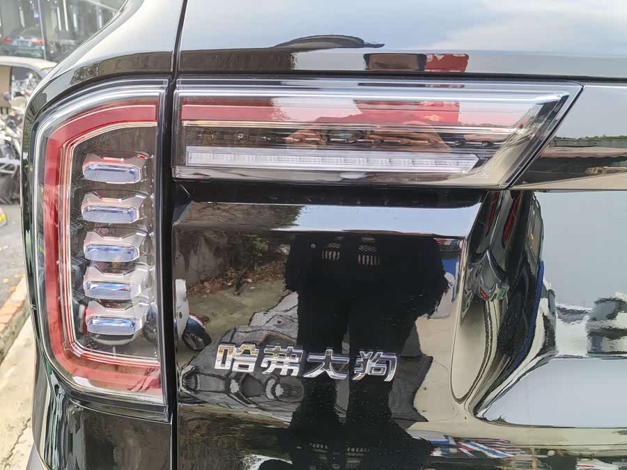 Haval X Dog / Dargo 2022 car image #21