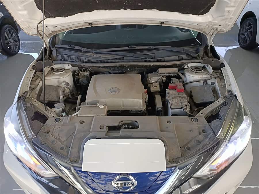 日产 轩逸·纯电 2019 汽车图片 #21