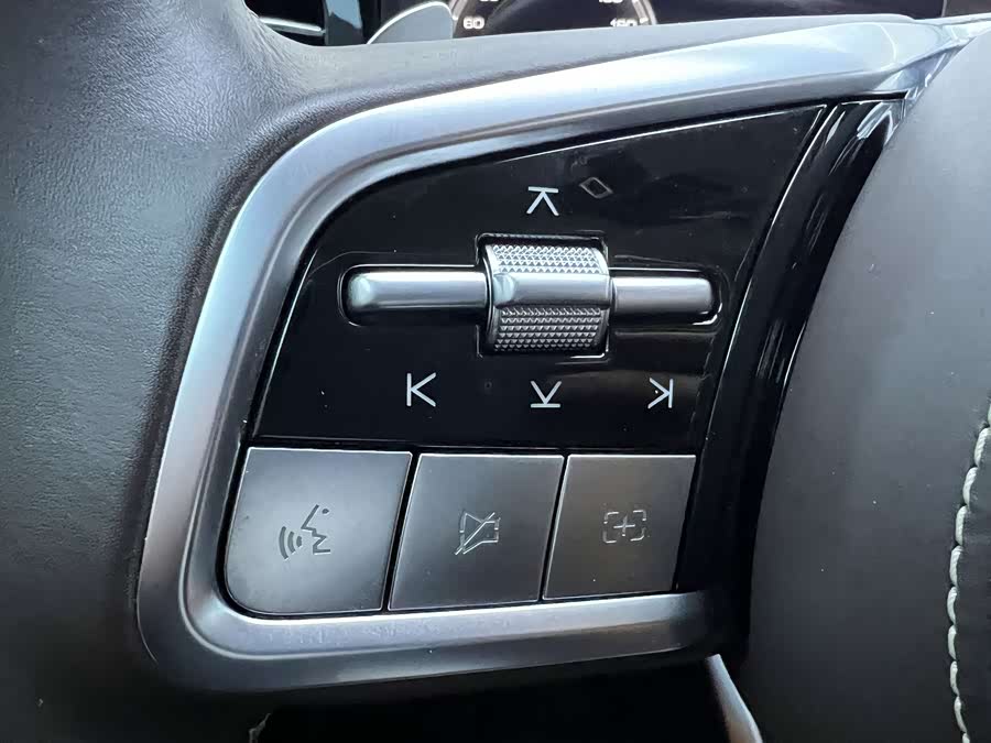 坦克 坦克500 2022 汽车图片 #21