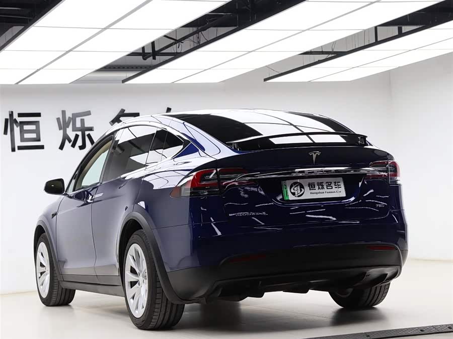 Tesla Model X 2017 car image #21