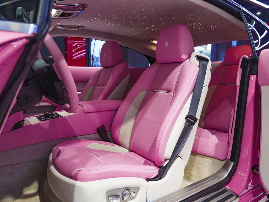 Denza Wraith 2023 car image #21