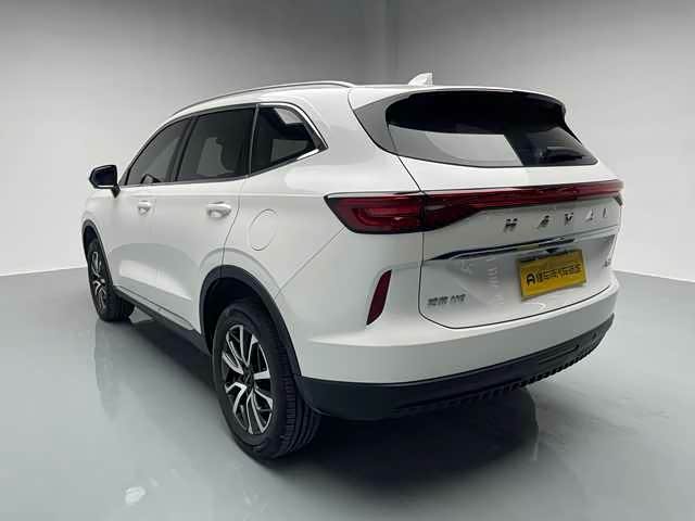 Haval H6 2021 car image #21