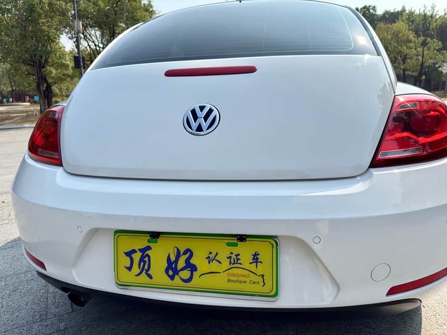 Volkswagen Beetle 2013 immagine di auto #21