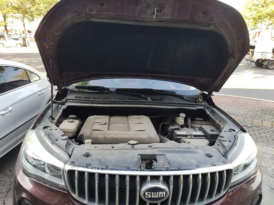 SWM X7 2017 صورة سيارة #21