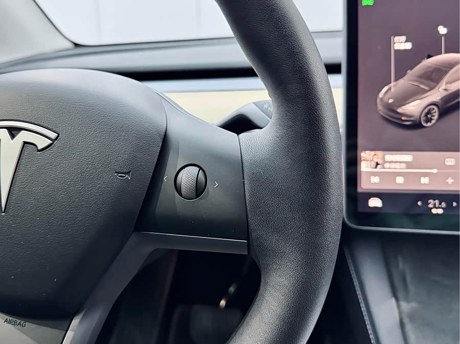 Tesla Model Y 2021 #21 Tesla Model Y 2021 car image #21