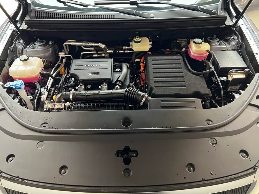 BYD Sea Lion 05 DM-i 2025 car image #21