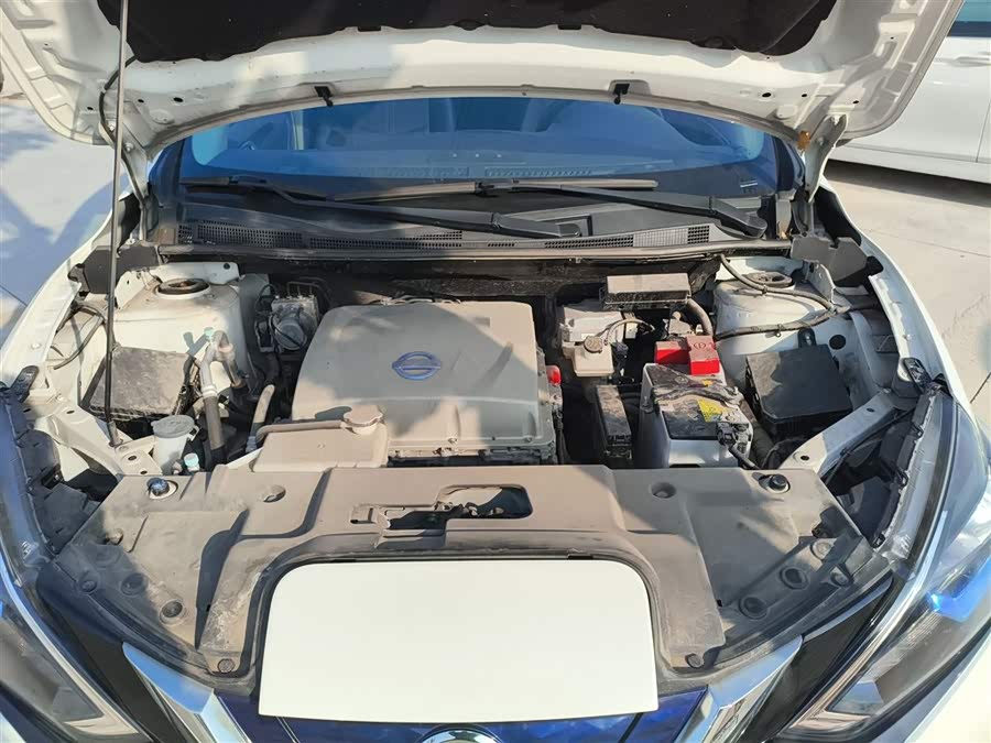 日产 轩逸·纯电 2021 汽车图片 #21