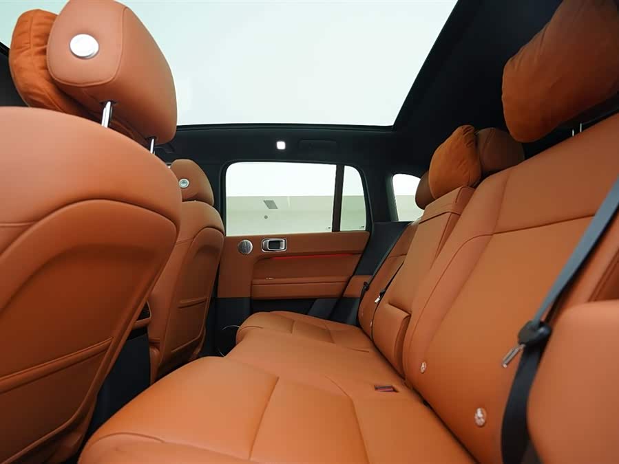 Li L6 2025 imagem de carro #21