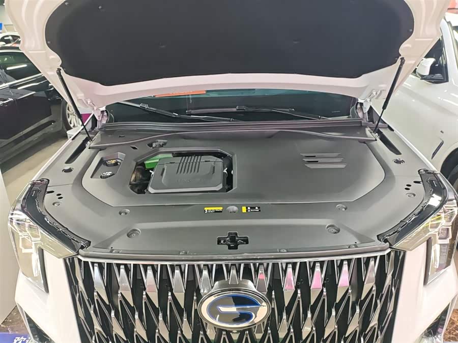 GAC Trumpchi ES9 2023 #21 GAC Trumpchi ES9 2023 car image #21