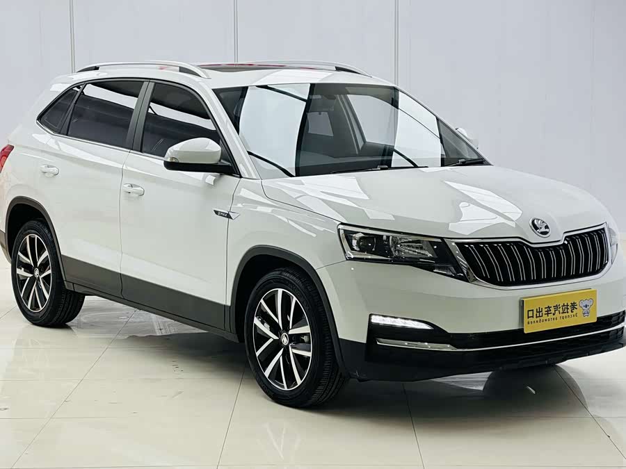 Skoda Kamiq 2023 #21 Skoda Kamiq 2023 car image #21